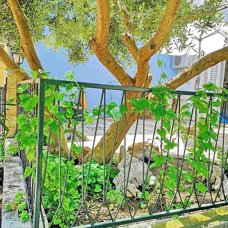 Olive's * Trstenik (Dubrovnik-Neretva)